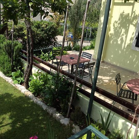Apartments Simo Petrovac Buitenkant foto