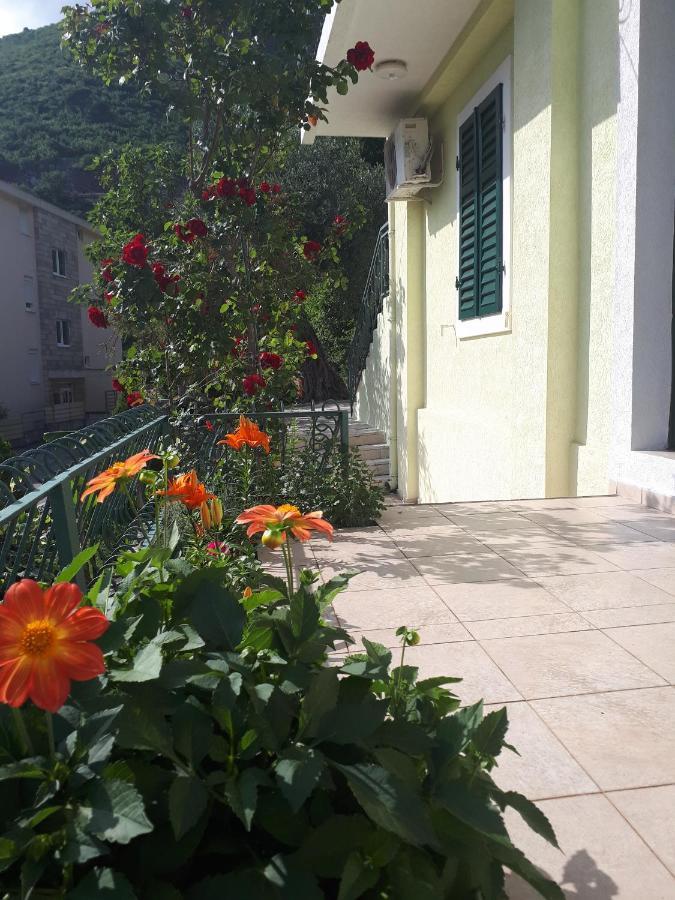 Apartments Simo Petrovac Buitenkant foto