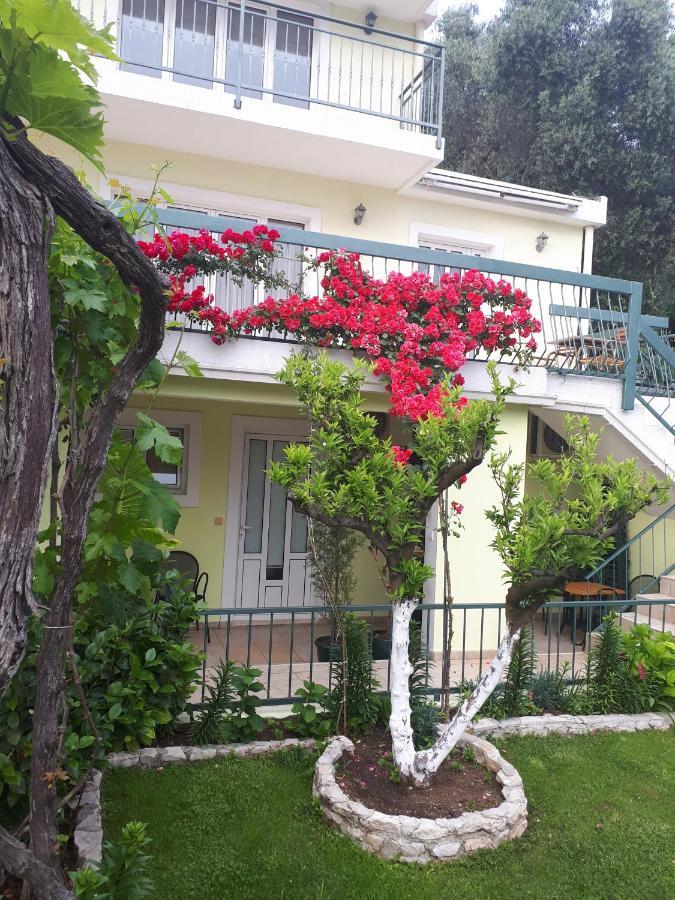 Apartments Simo Petrovac Buitenkant foto