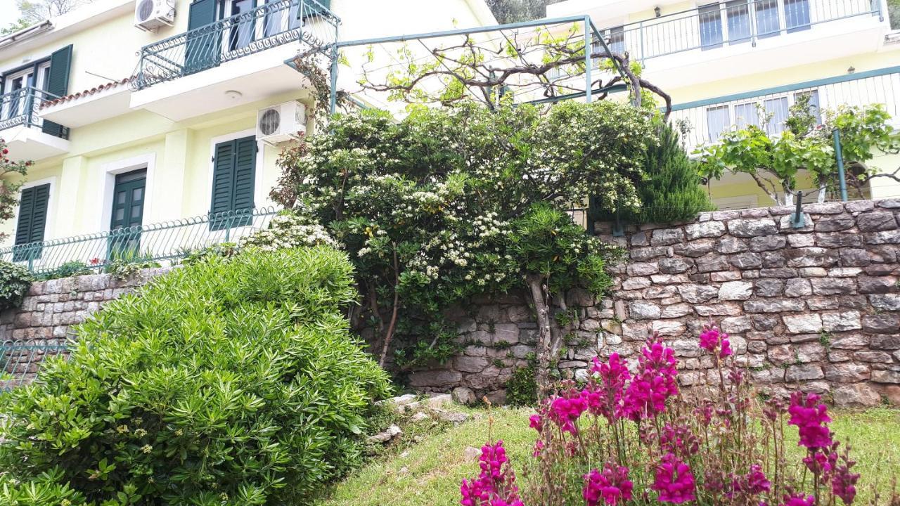 Apartments Simo Petrovac Buitenkant foto
