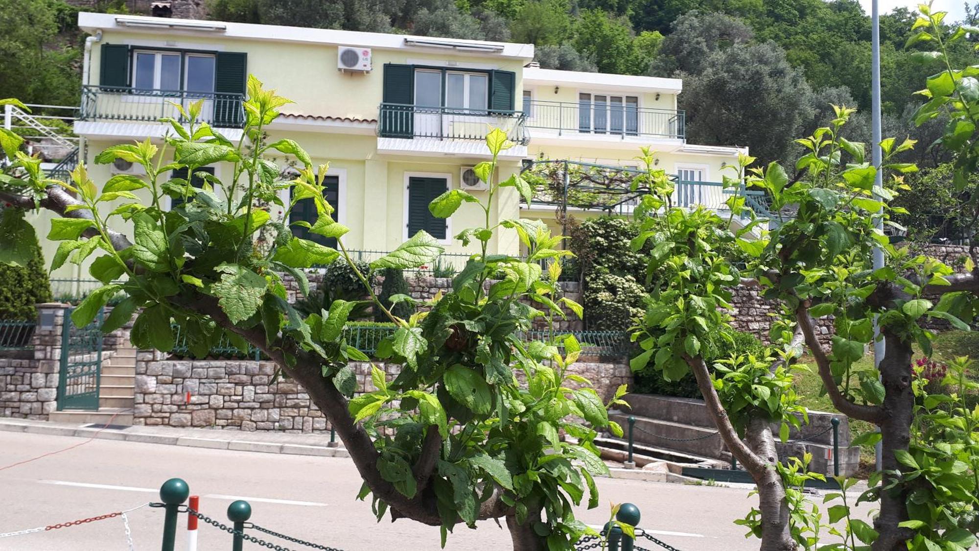Apartments Simo Petrovac Buitenkant foto
